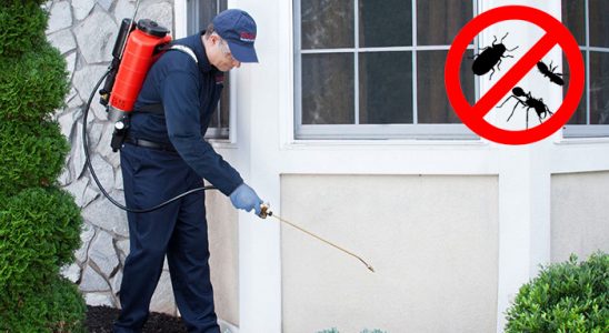 Sandıklı Gümüşkurt İlaçlama böcek ilaçlama ve haşere kontrolü — ilaclama-tr.com